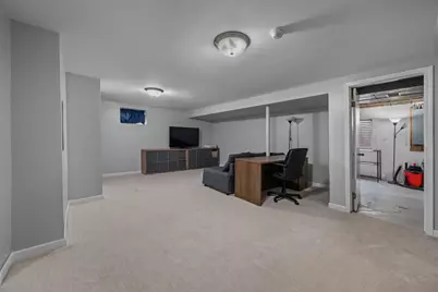 6114 1/2 Leonard Avenue, Downers Grove, IL 60515 - Photo 24