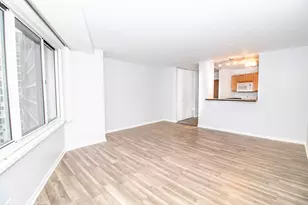 211 E Ohio St, Chicago, IL 60611 - Photo 6
