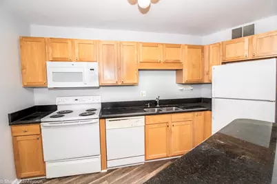 211 E Ohio Street #2515, Chicago, IL 60611 - Photo 8
