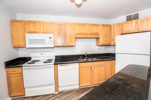 211 E Ohio St, Chicago, IL 60611 - Photo 8