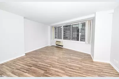 211 E Ohio Street #2515, Chicago, IL 60611 - Photo 10