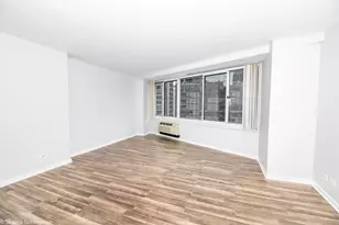 211 E Ohio St, Chicago, IL 60611 - Photo 10