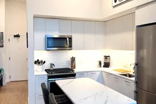 855 W Madison St, Chicago, IL 60607 - Photo 10