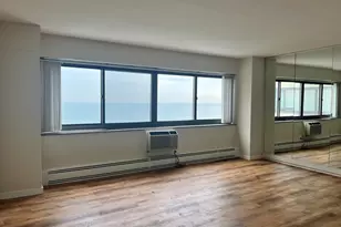 7337 S South Shore Dr, Chicago, IL 60649 - Photo 6