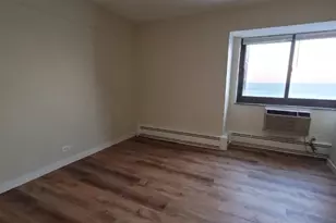 7337 S South Shore Dr, Chicago, IL 60649 - Photo 10