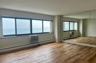 7337 S South Shore Dr, Chicago, IL 60649 - Photo 4