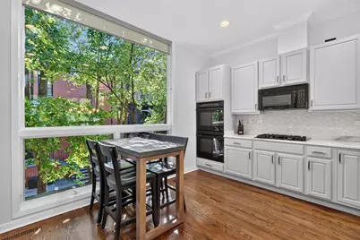 1741 W George Street, Chicago, IL 60657 - Photo 8