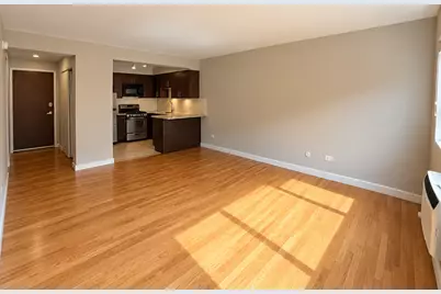 3610 N Pine Grove Avenue #505, Chicago, IL 60613 - Photo 4