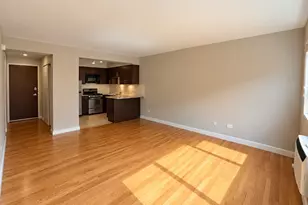 3610 N Pine Grove Ave, Chicago, IL 60613 - Photo 4
