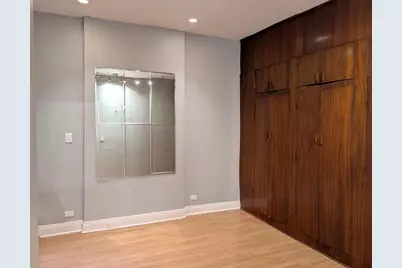 14 W Chestnut Street #4R, Chicago, IL 60610 - Photo 10