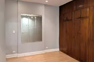 14 W Chestnut St, Chicago, IL 60610 - Photo 10