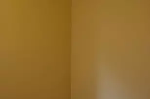 6110 S Kimbark Ave, Chicago, IL 60637 - Photo 18