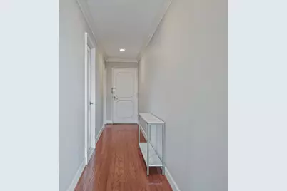 260 E Chestnut Street #2904, Chicago, IL 60611 - Photo 18