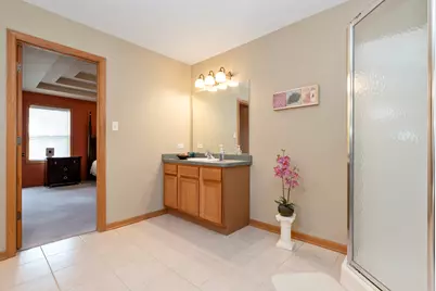 396 Hunters Drive, Beecher, IL 60401 - Photo 22