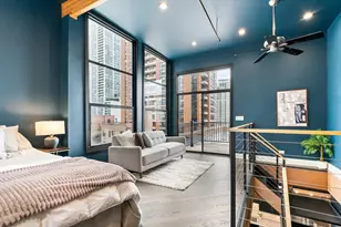 1133 S Wabash Ave, Chicago, IL 60605 - Photo 12