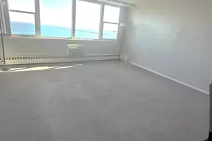 1150 N Lake Shore Dr, Chicago, IL 60611 - Photo 4