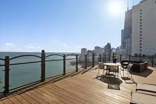 1150 N Lake Shore Dr, Chicago, IL 60611 - Photo 18