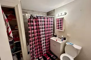1239 S Avers Ave, Chicago, IL 60623 - Photo 28