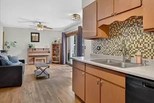 913 S Lancaster St, Mount Prospect, IL 60056 - Photo 14