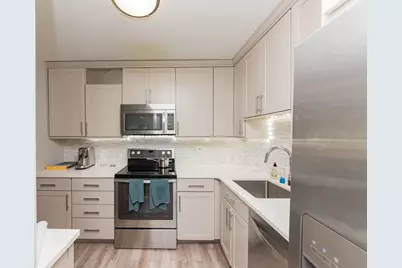 211 E Ohio Street #618, Chicago, IL 60611 - Photo 4