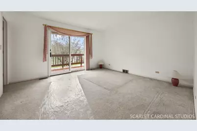 27200 W Lakeview Drive South Drive, Lake Barrington, IL 60084 - Photo 20