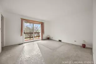 27200 W Lakeview Dr South Dr, Lake Barrington, IL 60084 - Photo 20