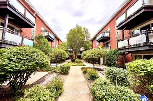 6423 N Damen Ave, Chicago, IL 60645 - Photo 18