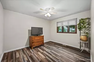 125 W Middle St, South Elgin, IL 60177 - Photo 12