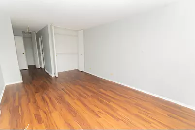 70 W Huron Street #802, Chicago, IL 60654 - Photo 26