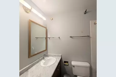 70 W Huron Street #802, Chicago, IL 60654 - Photo 28