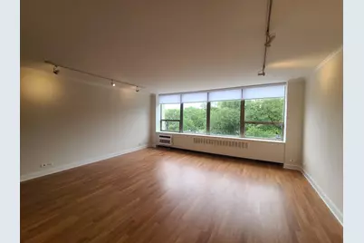 1360 N Sandburg Terrace #410, Chicago, IL 60610 - Photo 2