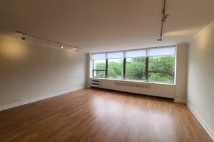 1360 N Sandburg Terrace, Chicago, IL 60610 - Photo 2