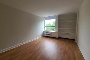 1360 N Sandburg Terrace, Chicago, IL 60610 - Photo 14