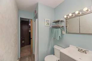 3245 N Lakeside Dr, Coal City, IL 60416 - Photo 26