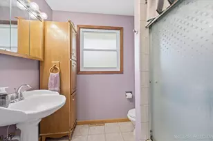 194 Patrick Dr, South Elgin, IL 60177 - Photo 16