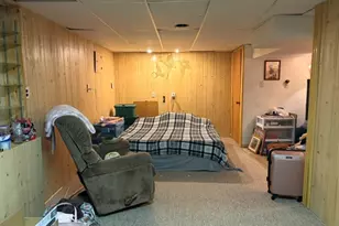 915 W 1st St, Spring Valley, IL 61362 - Photo 10