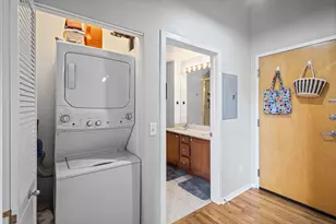 1735 N Paulina St, Chicago, IL 60622 - Photo 12
