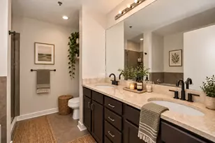 1305 S Michigan Ave, Chicago, IL 60605 - Photo 12