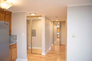 16 E Old Willow Rd, Prospect Heights, IL 60070 - Photo 58