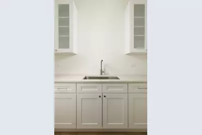 513 W 28th Place, Chicago, IL 60616 - Photo 8