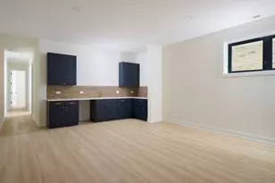 513 W 28th Pl, Chicago, IL 60616 - Photo 22