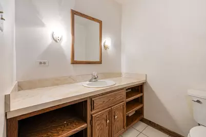381 E Nebraska A Street, Frankfort, IL 60423 - Photo 28