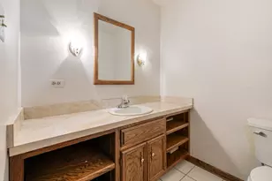 381 E Nebraska A St, Frankfort, IL 60423 - Photo 28