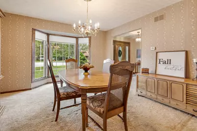 381 E Nebraska A Street, Frankfort, IL 60423 - Photo 22