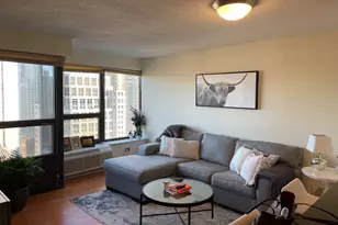 30 E Huron St, Chicago, IL 60611 - Photo 6