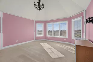 25323 W Alison Rd, Plainfield, IL 60586 - Photo 34
