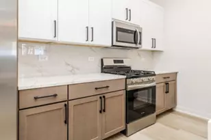 1052 N Central Park Ave, Chicago, IL 60651 - Photo 8