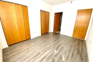 1250 S Indiana Ave, Chicago, IL 60605 - Photo 8