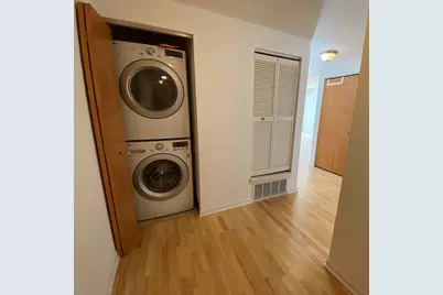 1250 S Indiana Avenue #308, Chicago, IL 60605 - Photo 6