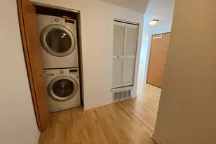 1250 S Indiana Ave, Chicago, IL 60605 - Photo 6